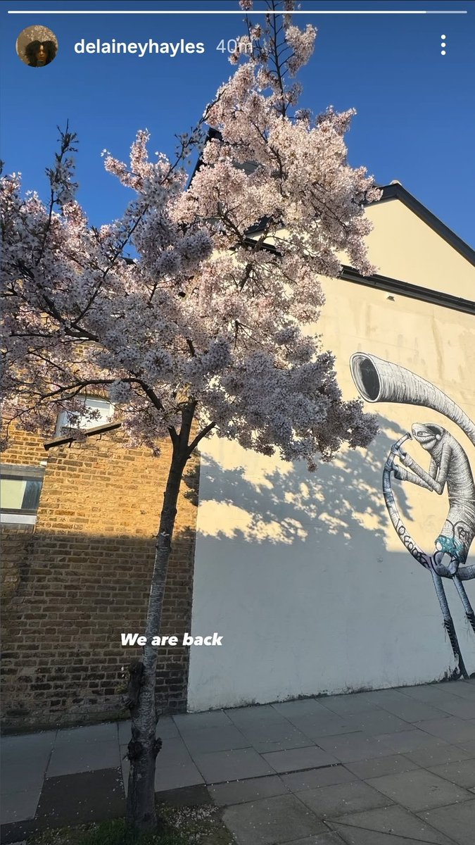 dani 🩵 tweet media