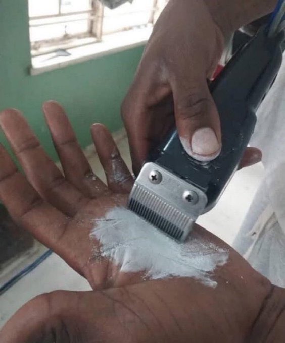 Merlin 🌋🧙‍♂️ tweet media