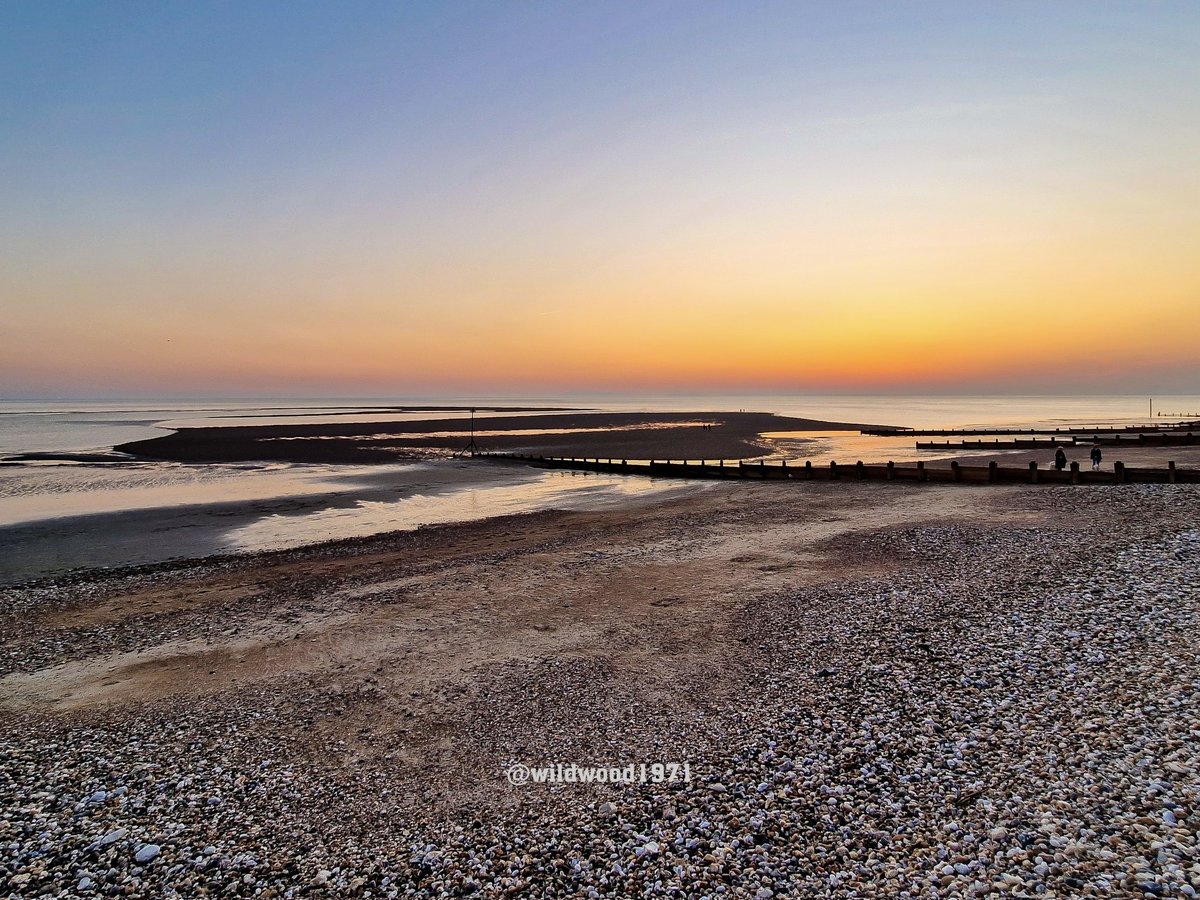 Wildwood1971 (Wild and Woody Photography) tweet media