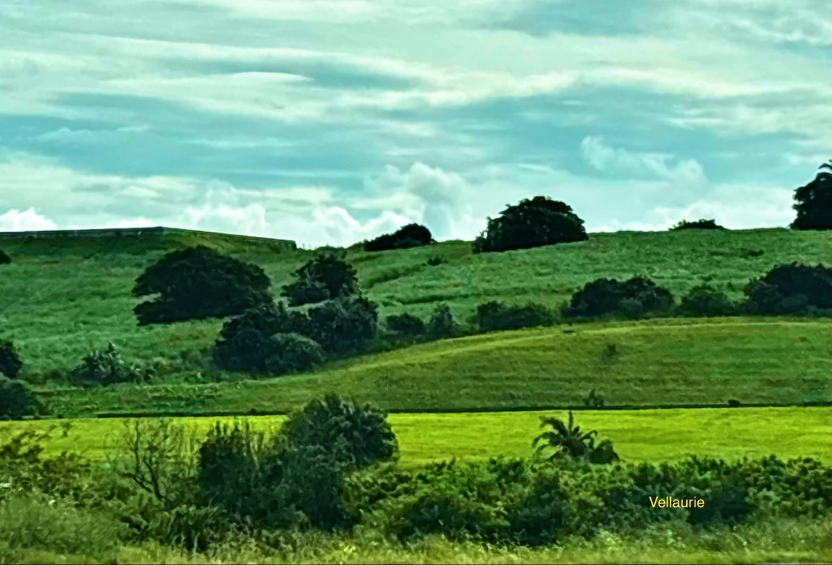 Vijay Ellaurie tweet media