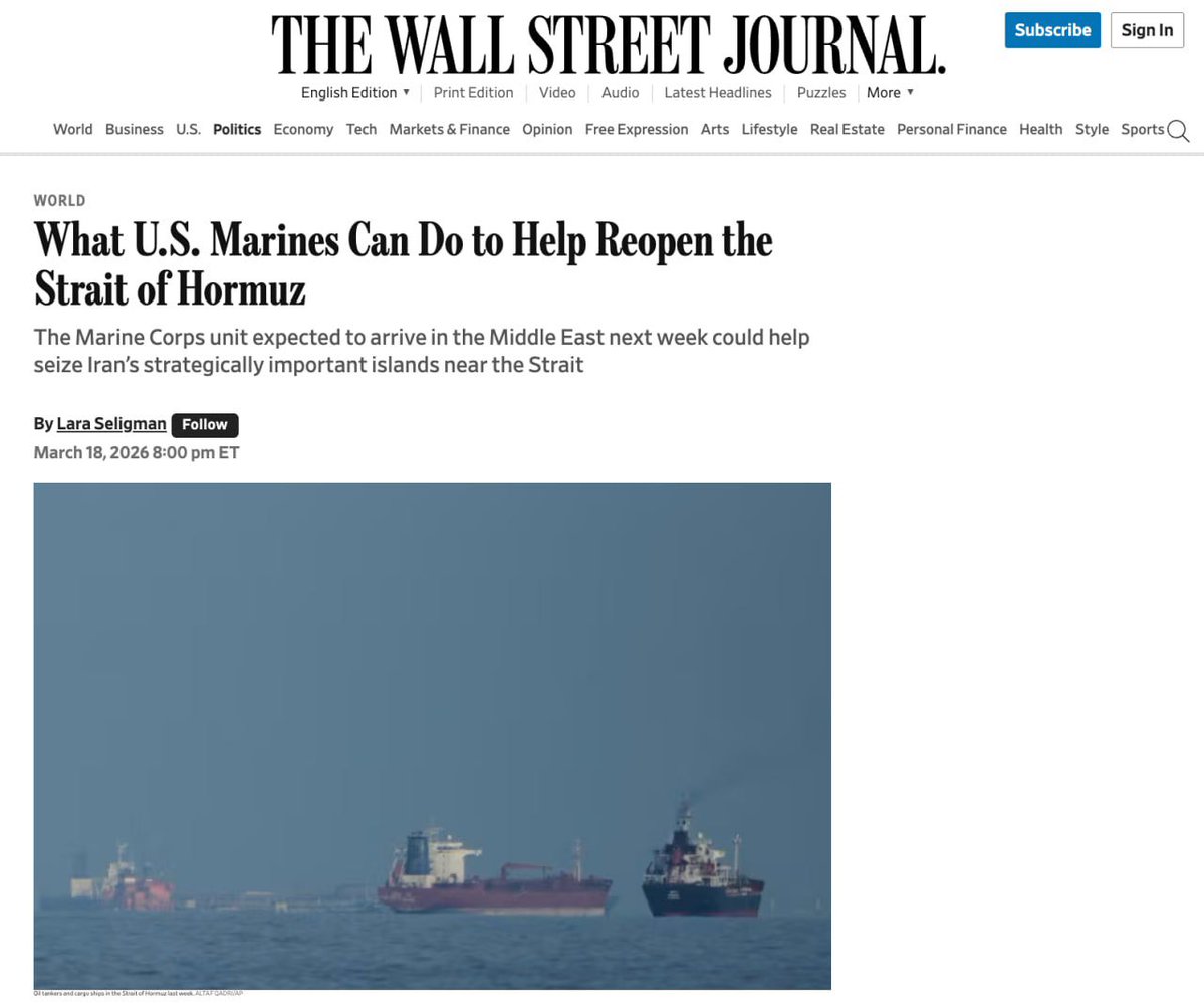 Dana Levi דנה🇮🇱🇺🇸 tweet media