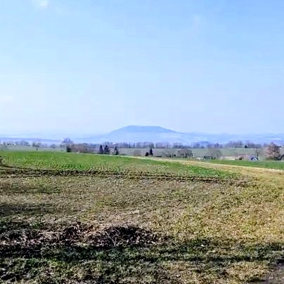 Rico Oelmann tweet media