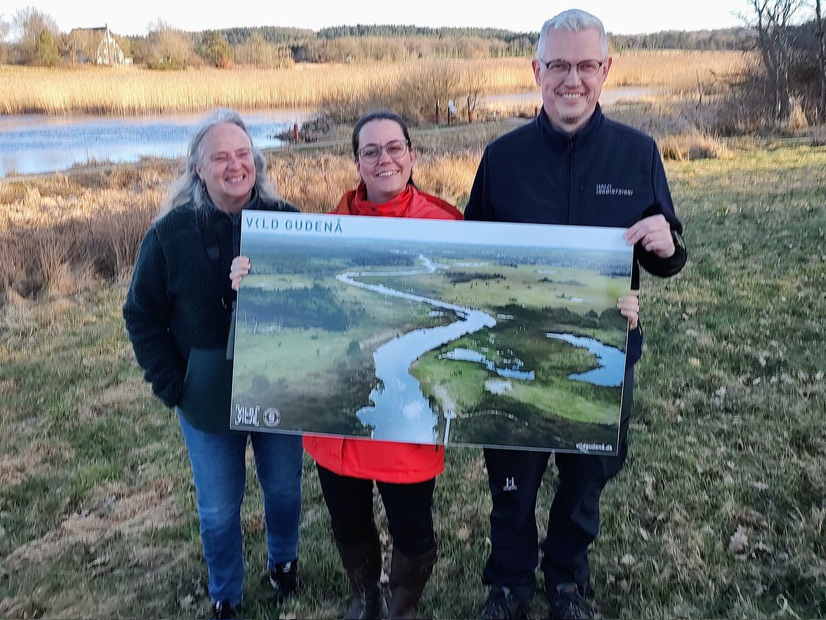 Nymann76 tweet media