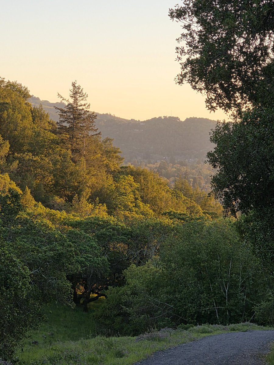 Gotitas De Sal tweet media