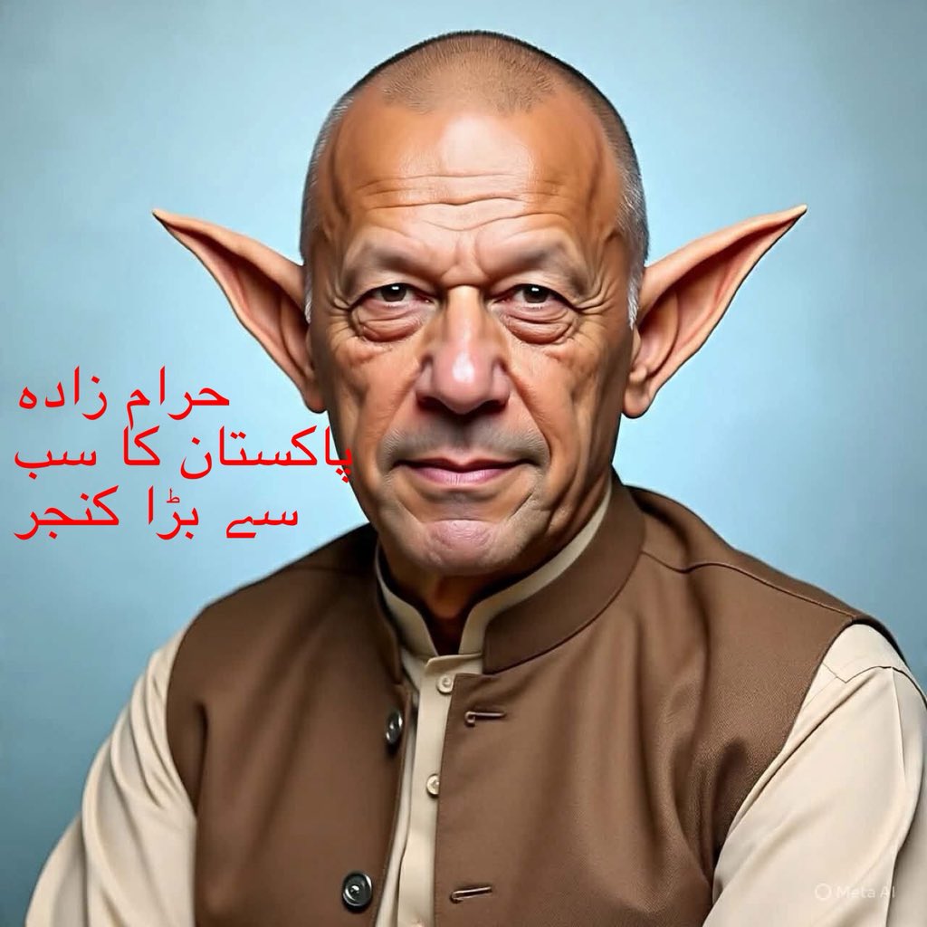 PAKISTAN tweet media