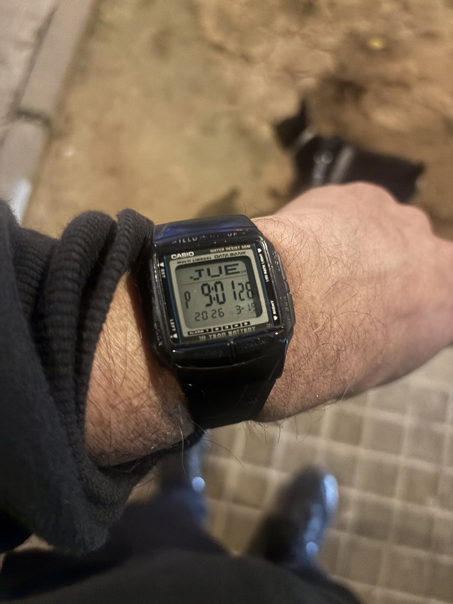 BogleBrowne tweet media