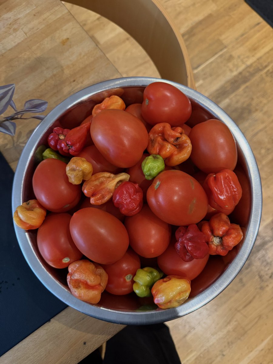 DAVIDI👑 tweet media