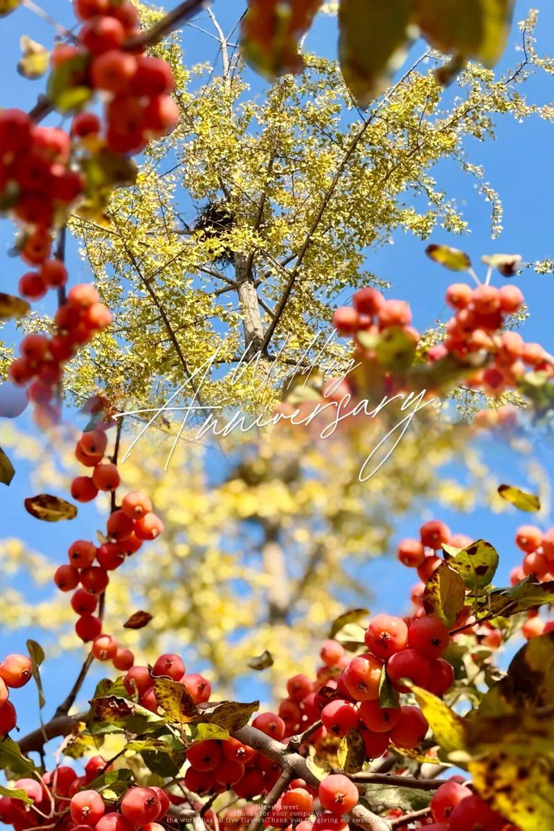 André Nícolas tweet media