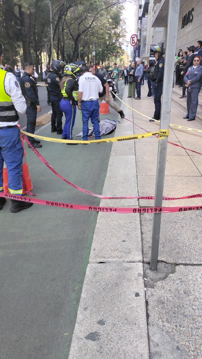 LISET GONZALEZ tweet media