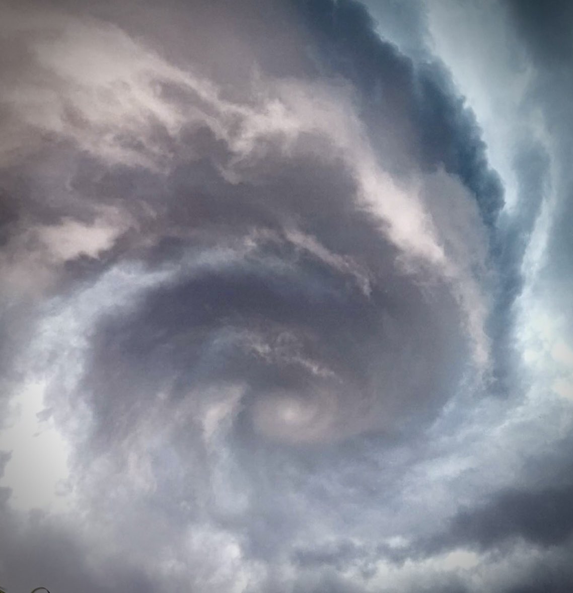 Nick Krasznavolgyi tweet media