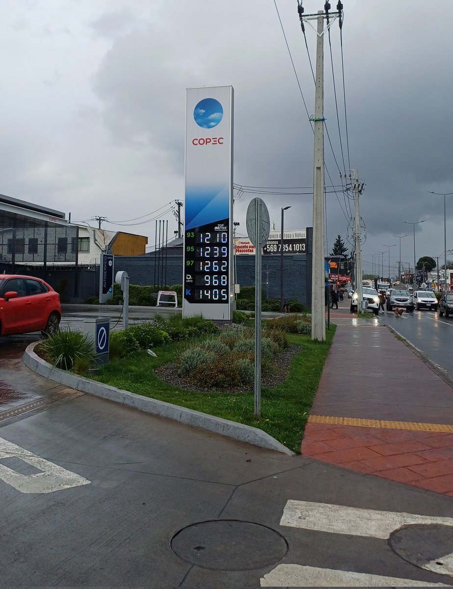 Porco PDJ tweet media