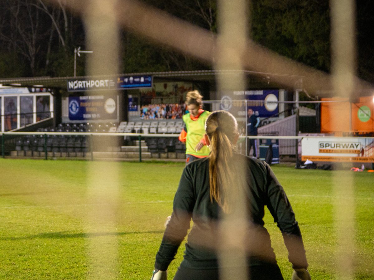 AFC Portchester Ladies tweet media