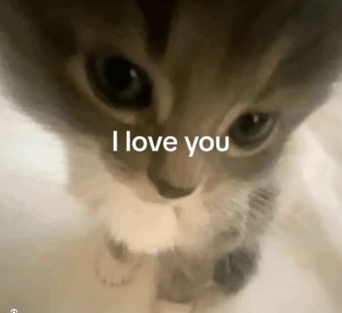 Poster💥 tweet media