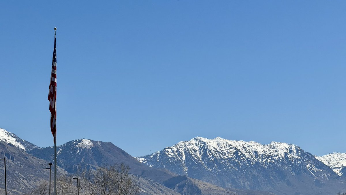 NotDeadYet tweet media