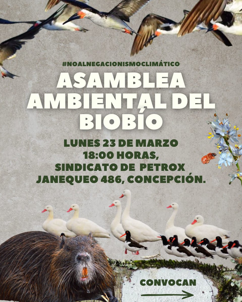 Javier del Río Richter tweet media