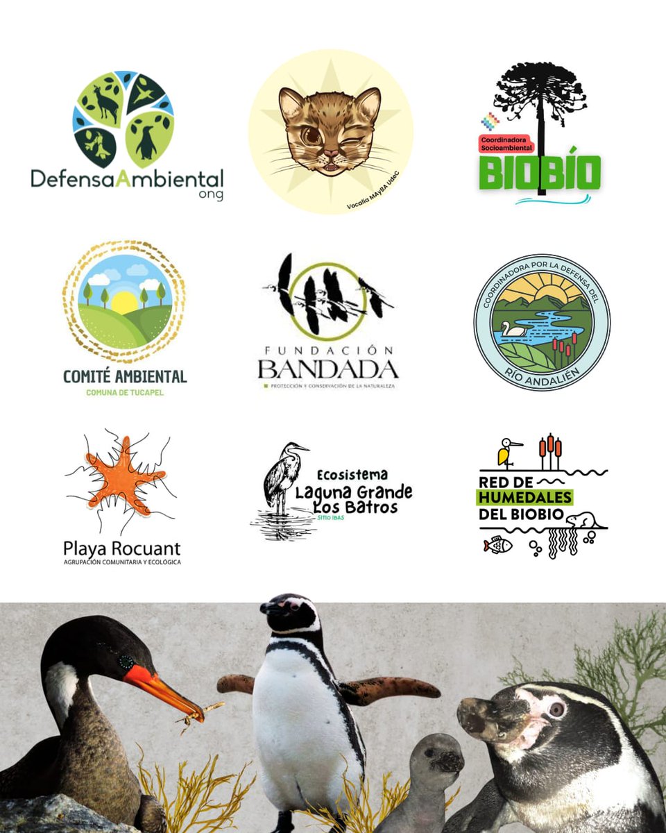 Javier del Río Richter tweet media