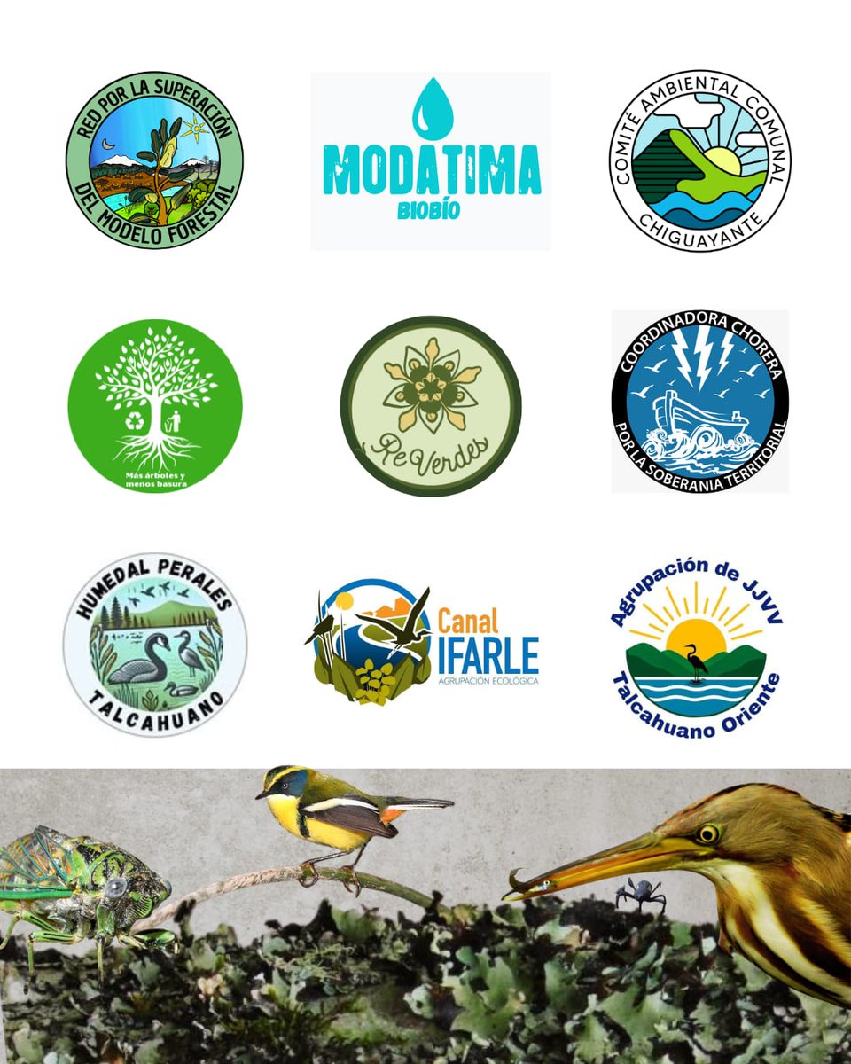 Javier del Río Richter tweet media