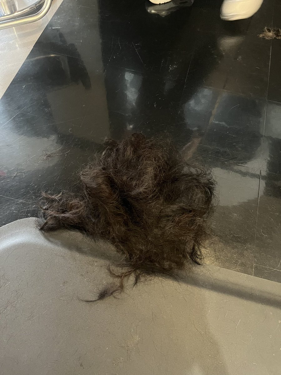 whatinthebanjo tweet media