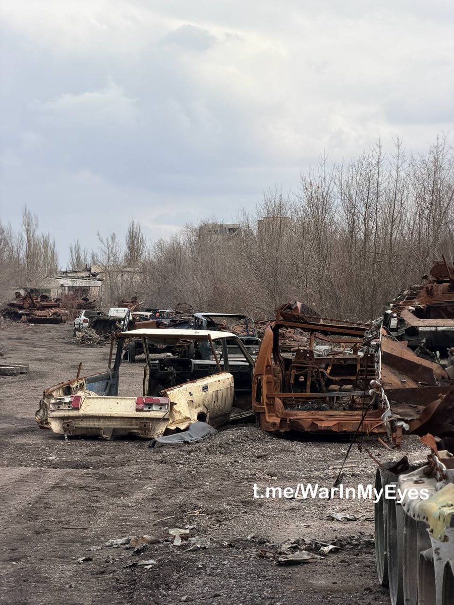 senore_amore tweet media