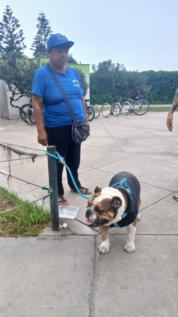 Alerta Miraflores tweet media