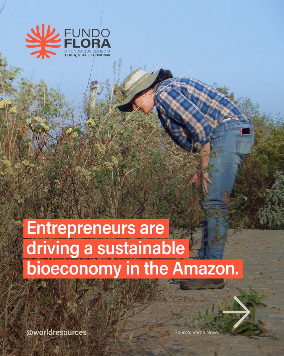 World Resources Institute tweet media