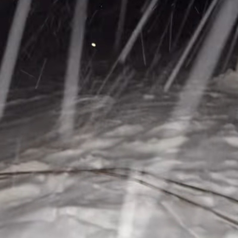 Hava Forum tweet media