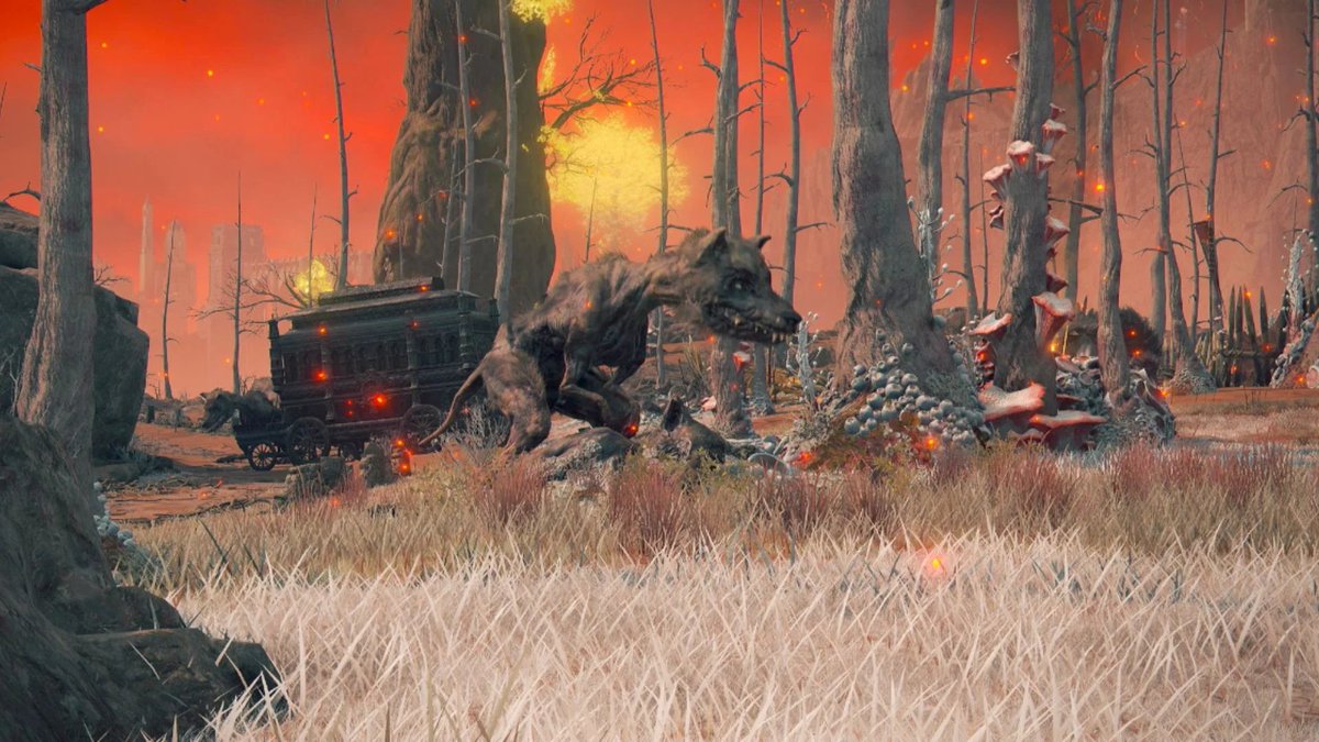 BarryD.Light tweet media