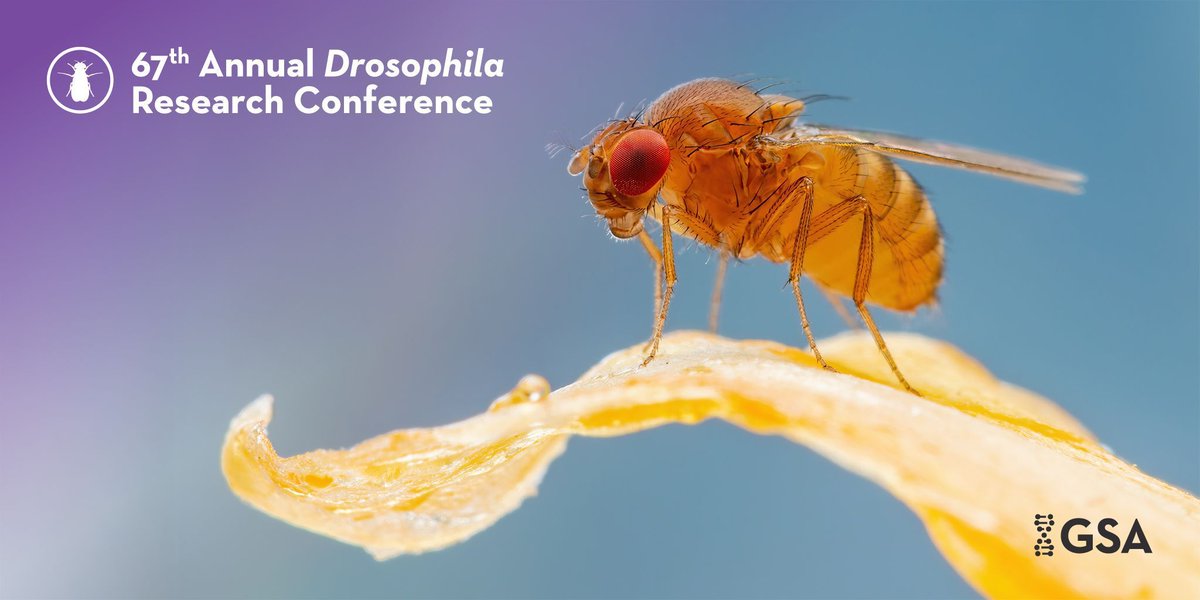 Genetics Society of America tweet media