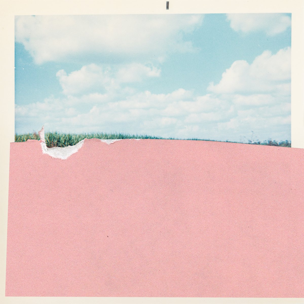 Su ✂️ tweet media