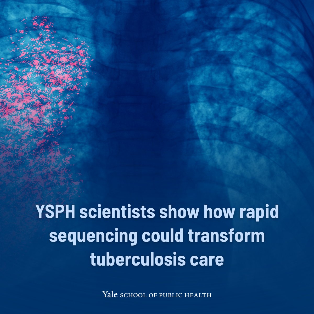 Yale School of Public Health tweet media