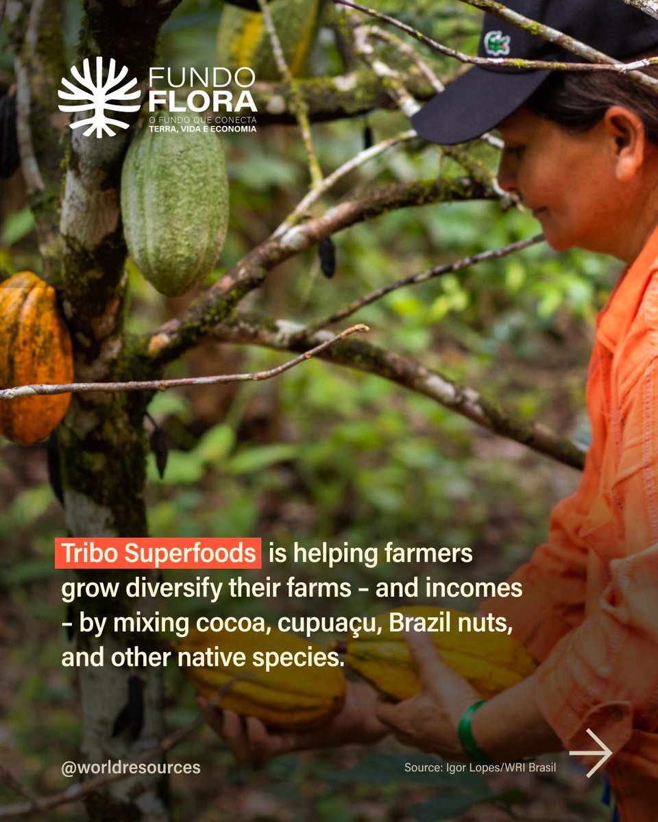 World Resources Institute tweet media