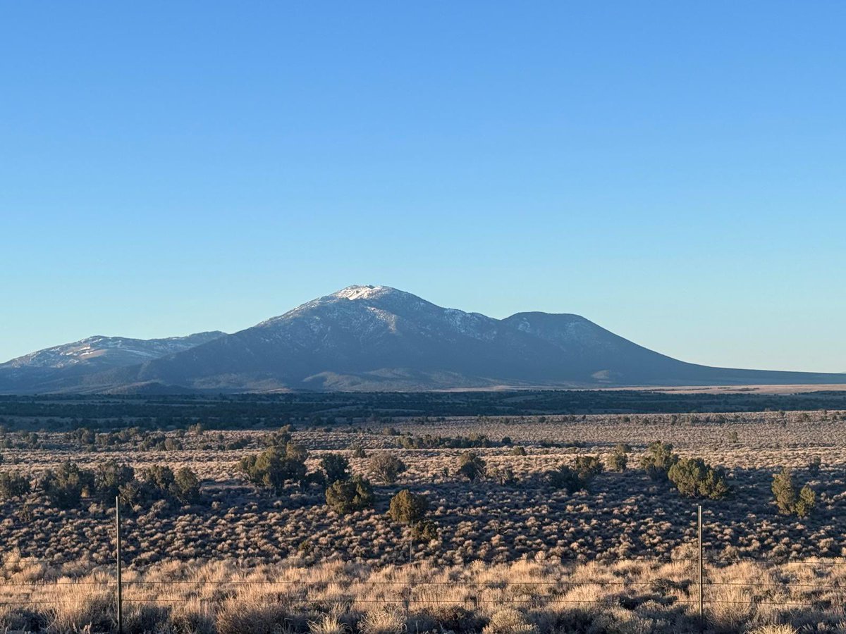 Akiba Leisman tweet media