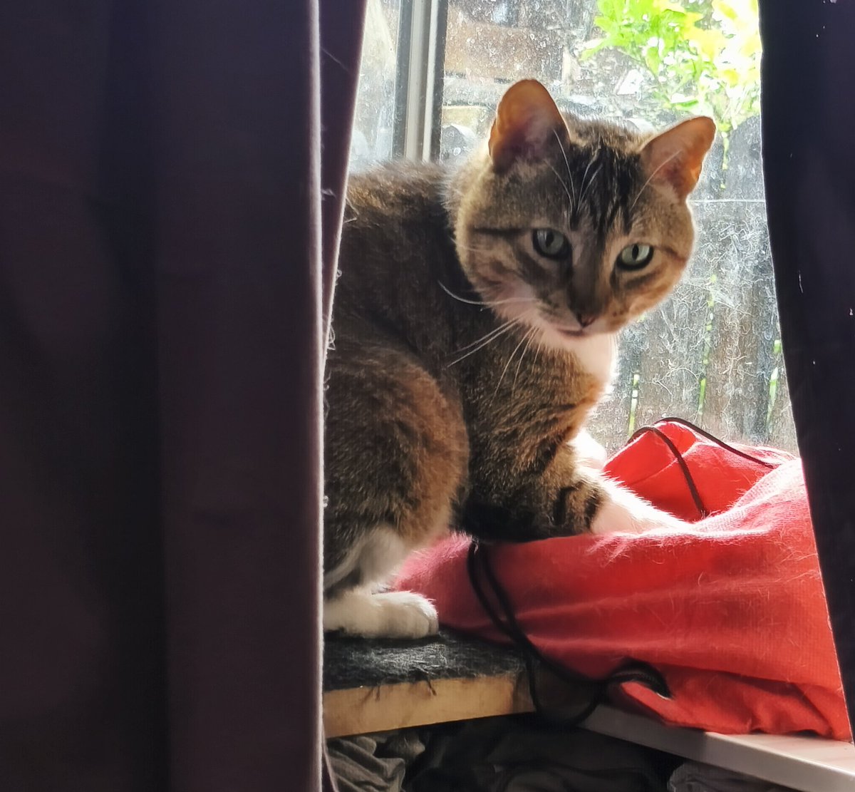 Ari Mau Botero tweet media