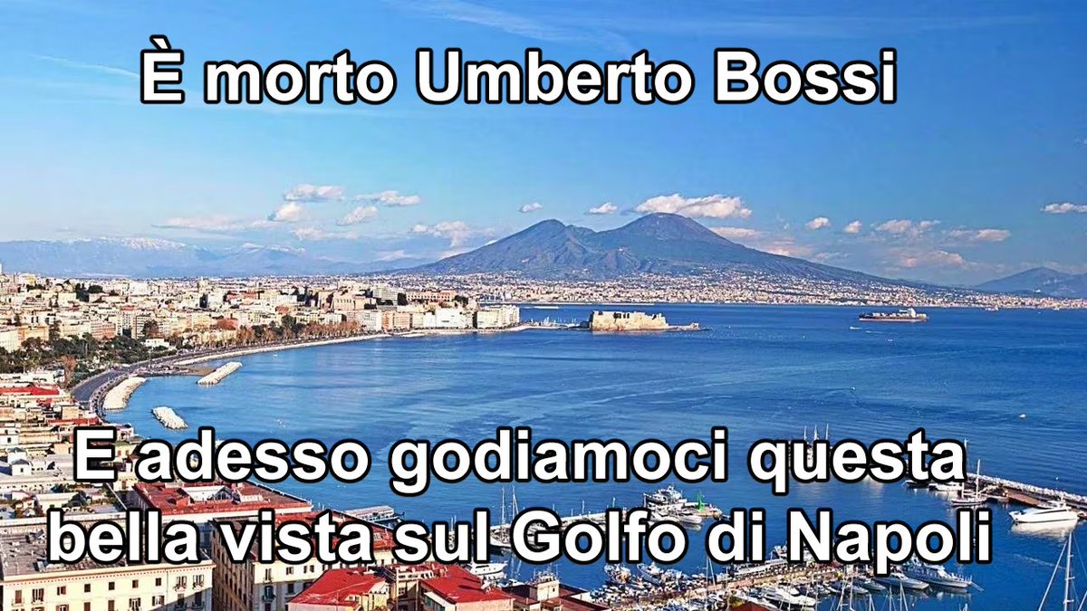 AnnEm･🦋🏆 tweet media