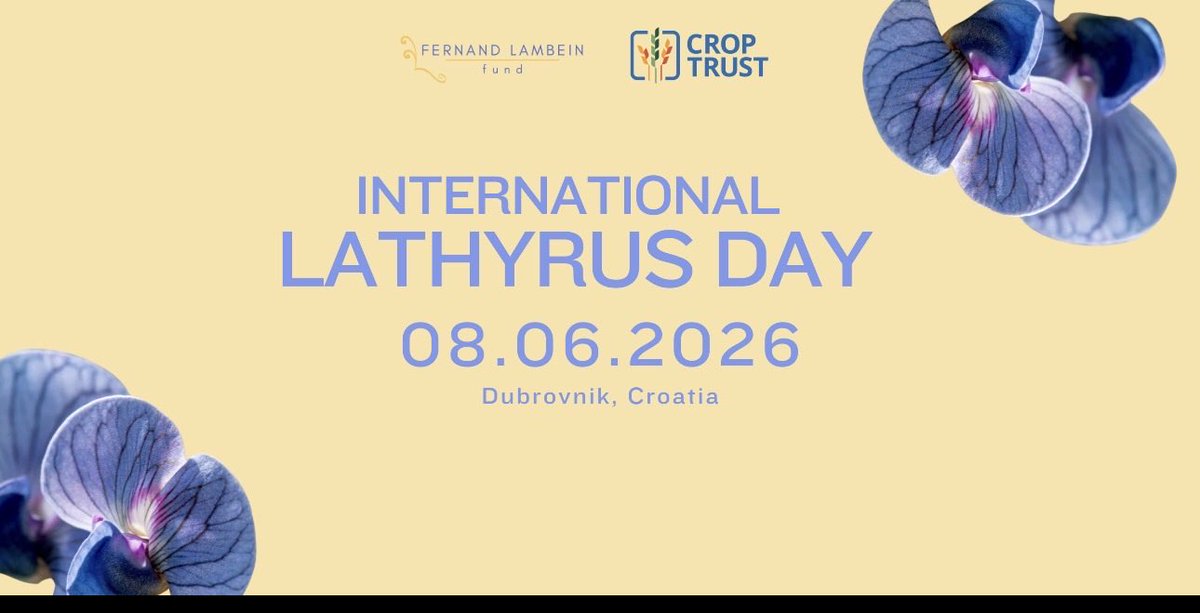 Grasspea tweet media