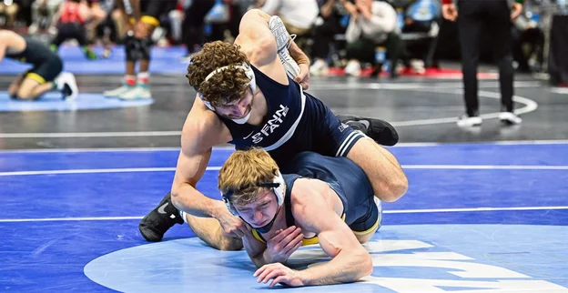 Lions247 tweet media