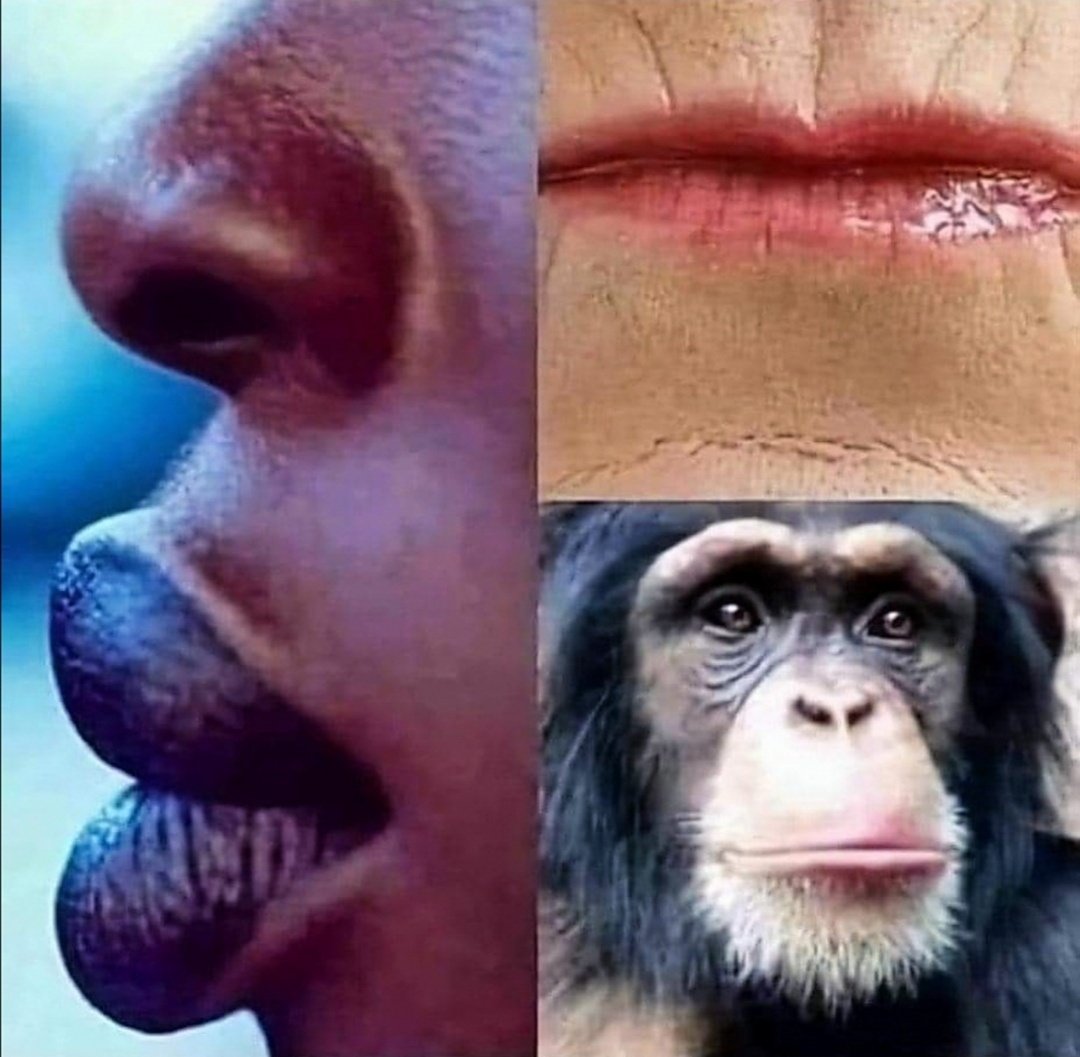 🇿🇦Xhosa Nostra tweet media