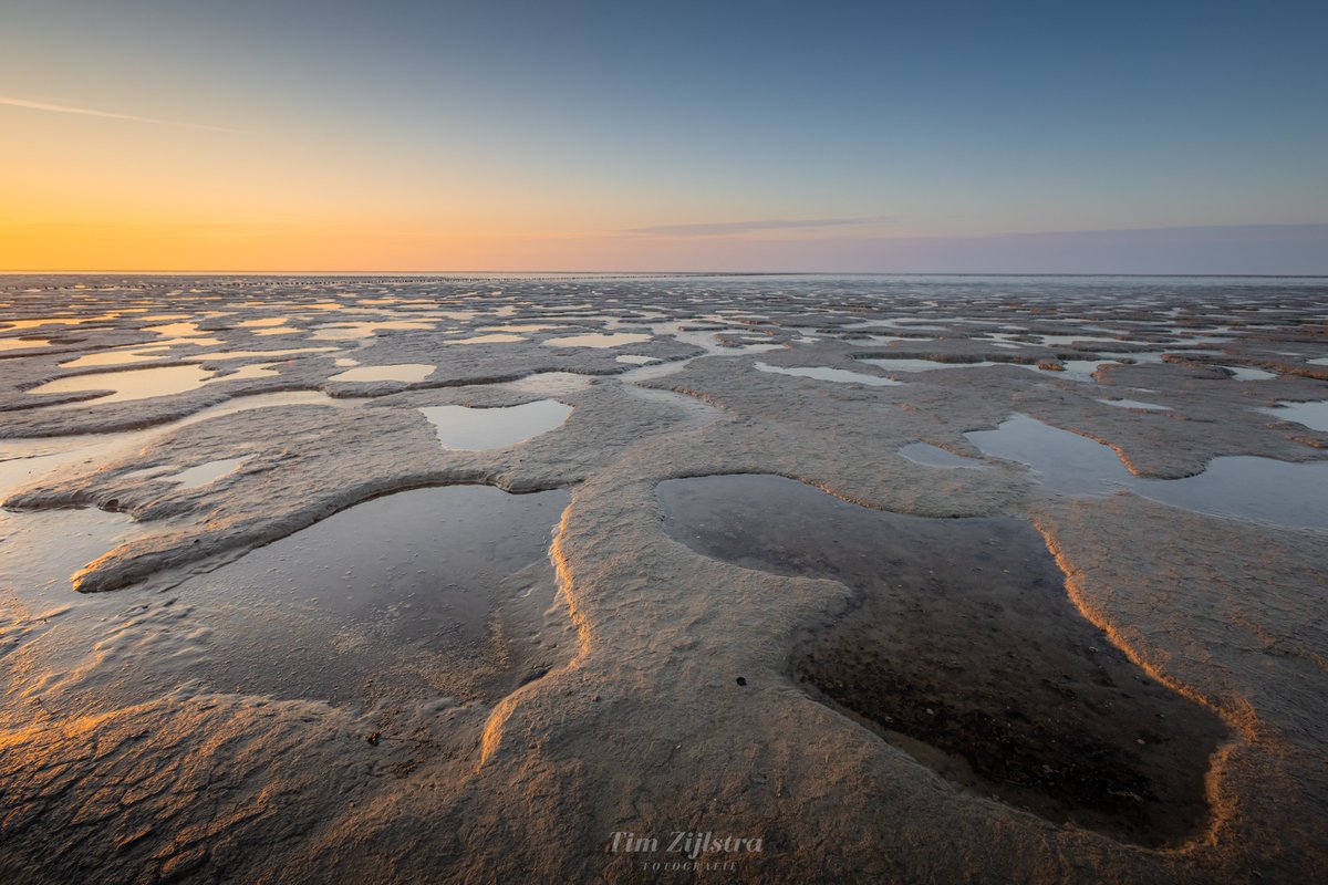 Tim Zijlstra tweet media