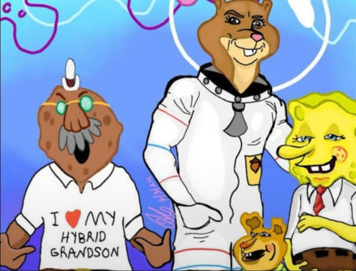 brainrot dimension tweet media