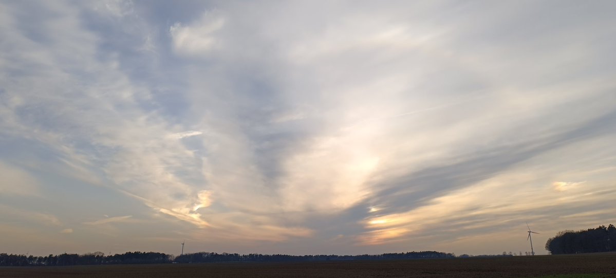 KahrOliver66604's tweet image. 