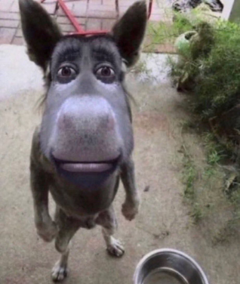 Jim Jamersons tweet media