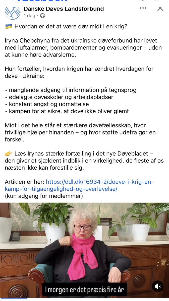 Bente Haulund tweet media