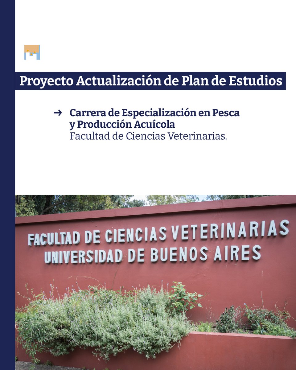 UBA Posgrados tweet media