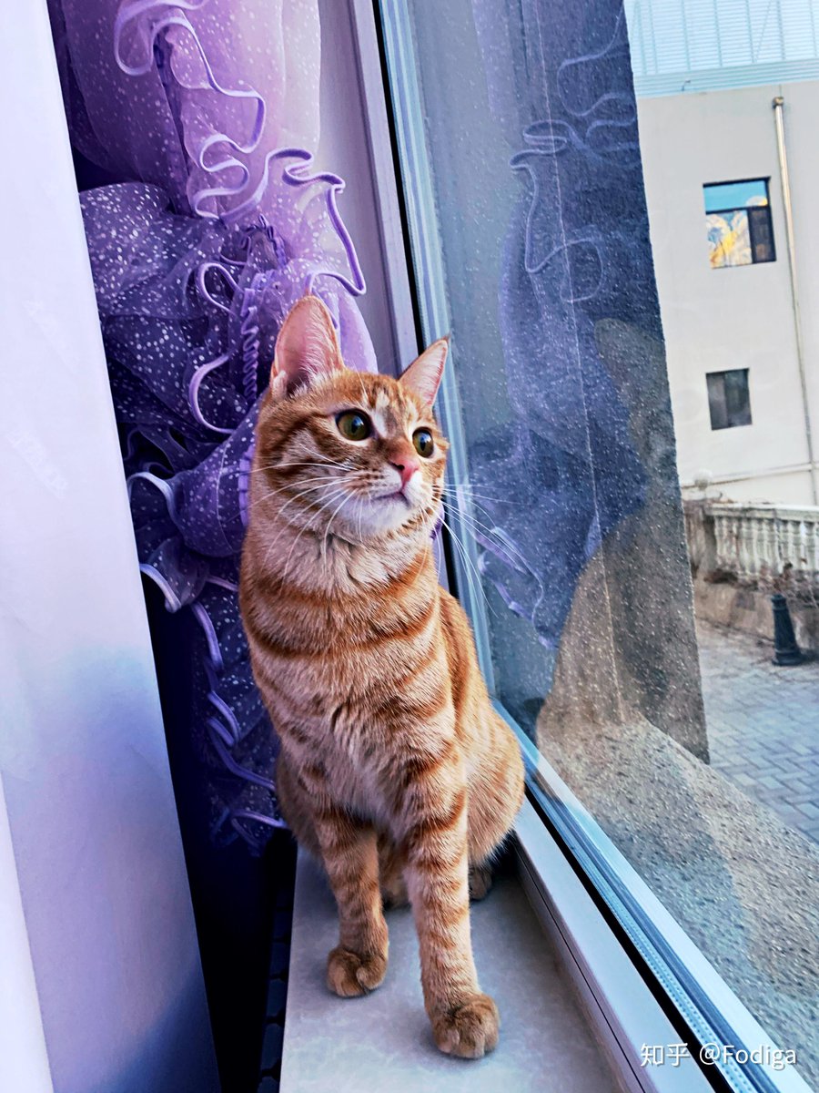 Becca Hall tweet media