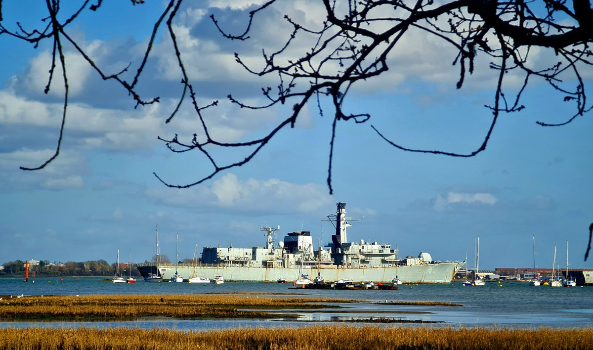 Me Hi (0.01) tweet media