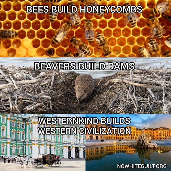 President Elect Rachelle Merle tweet media