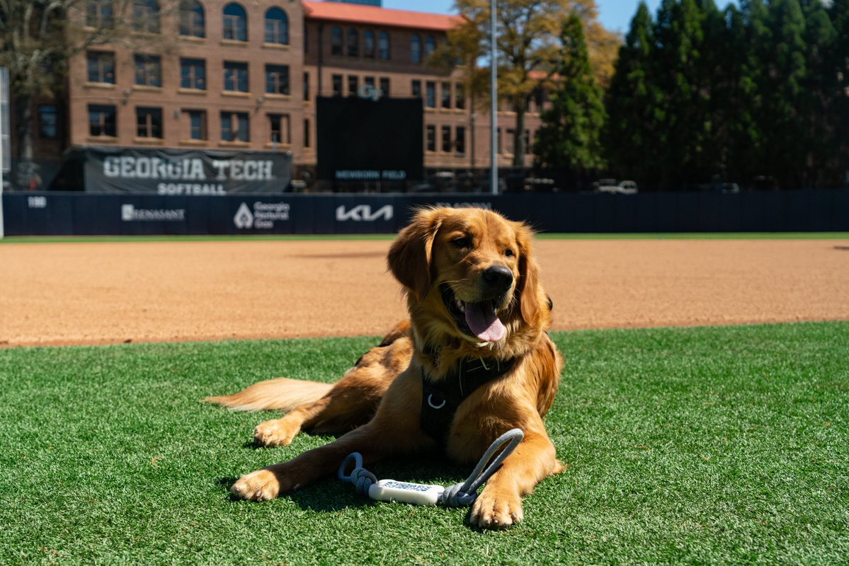 Georgia Tech Softball 🥇🥇🥇🥇🥇 tweet media