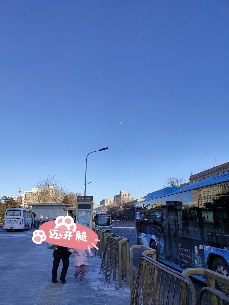 Any Pain tweet media