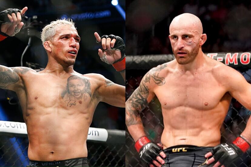 Blind Bear 🐻🕶️ tweet media