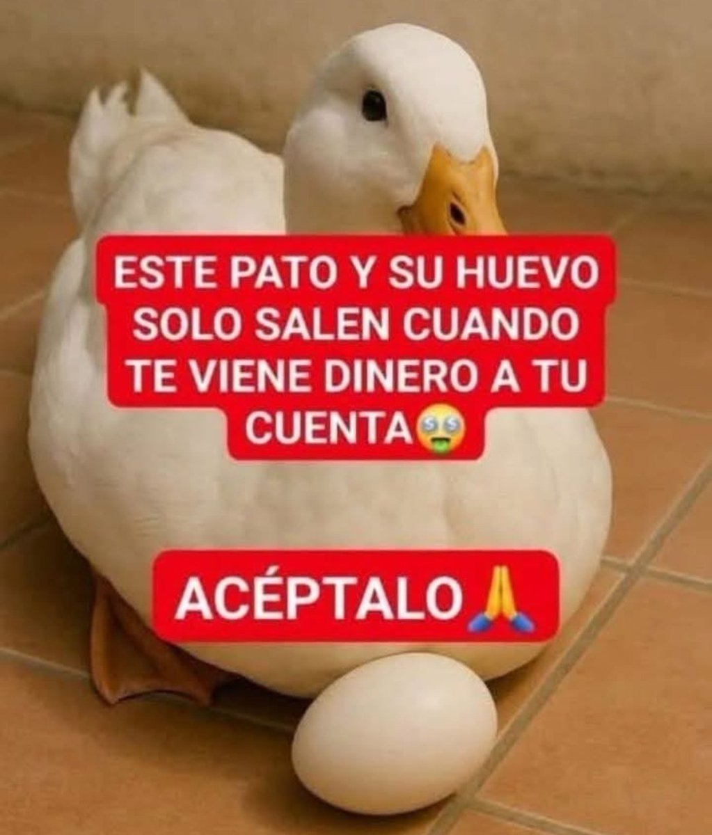 SolidKroket tweet media